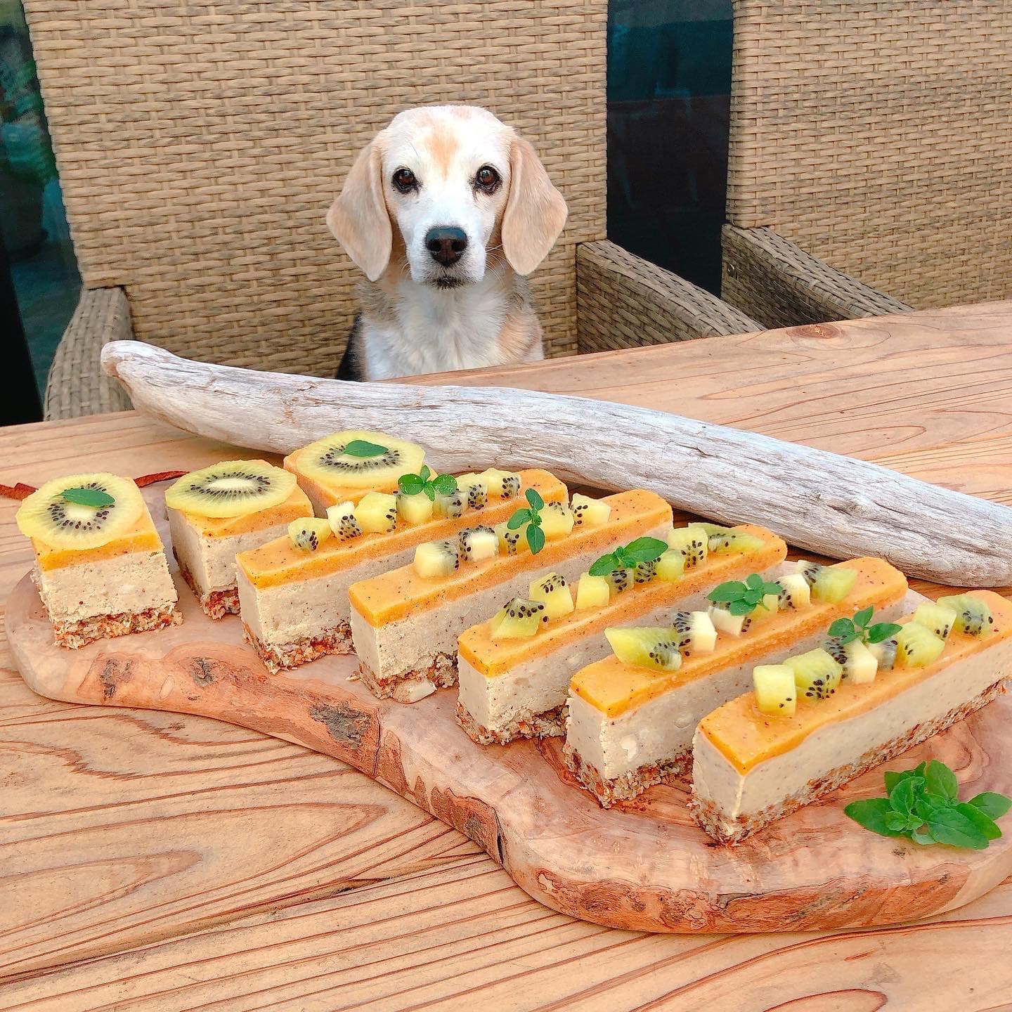 rawfood