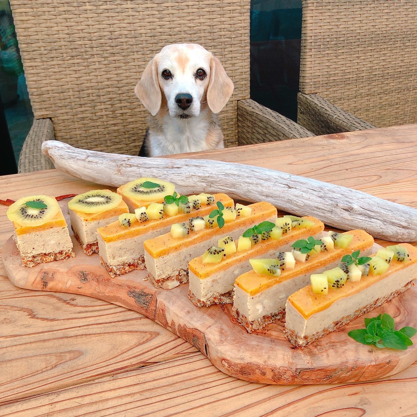 rawfood