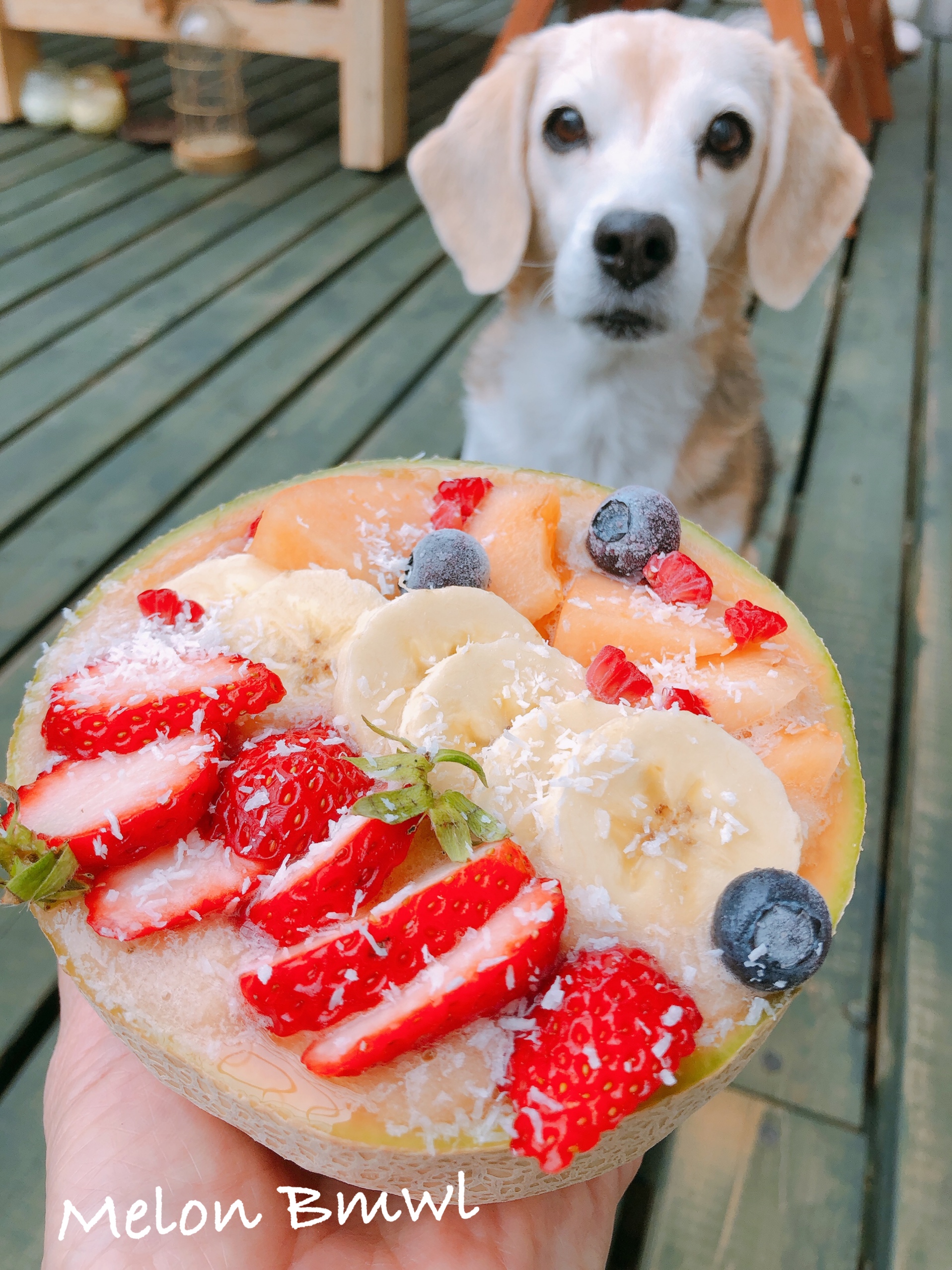 rawfood