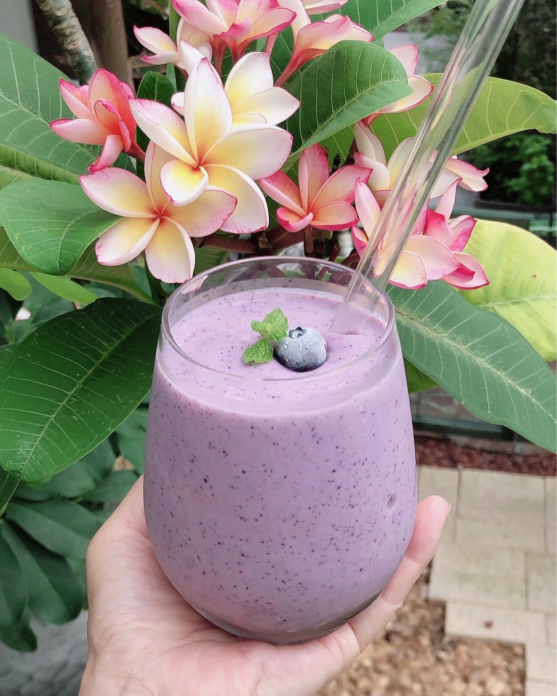 rawfood